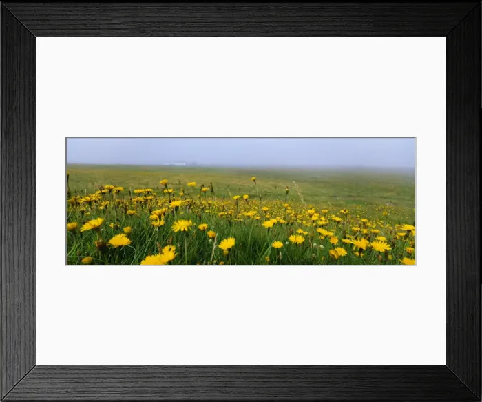 Framed Print : Panoramic view Framed Print : Panoramic view