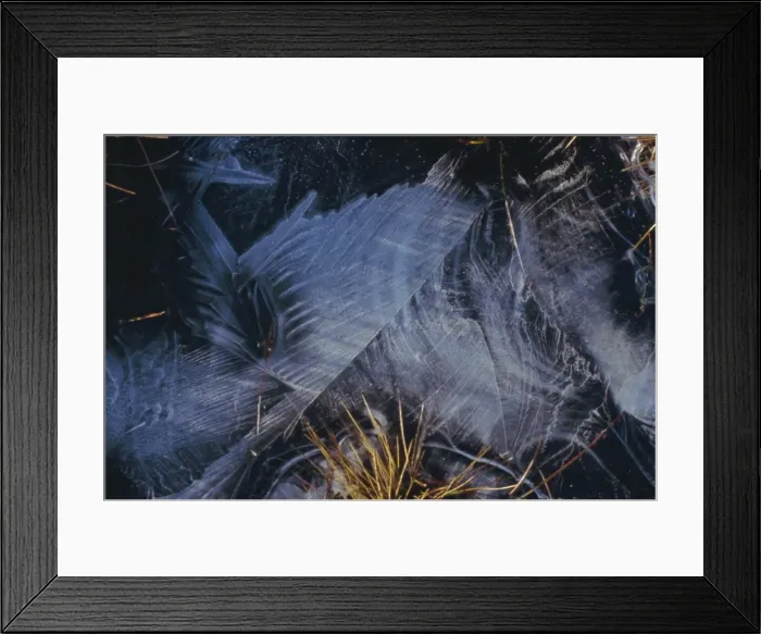 Framed Print : Frozen Pond Framed Print : Frozen Pond
