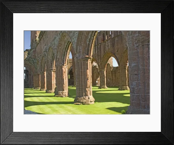 Framed Print : Interior of the nave of the 13th century Cistercian Sweetheart Abbey Framed Print : Interior of the nave of the 13th century Cistercian Sweetheart Abbey