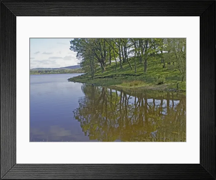 Framed Print : A wooded corner of Lock Ken Framed Print : A wooded corner of Lock Ken