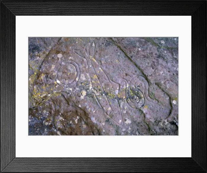 Framed Print : Pictish symbols of salmon Framed Print : Pictish symbols of salmon