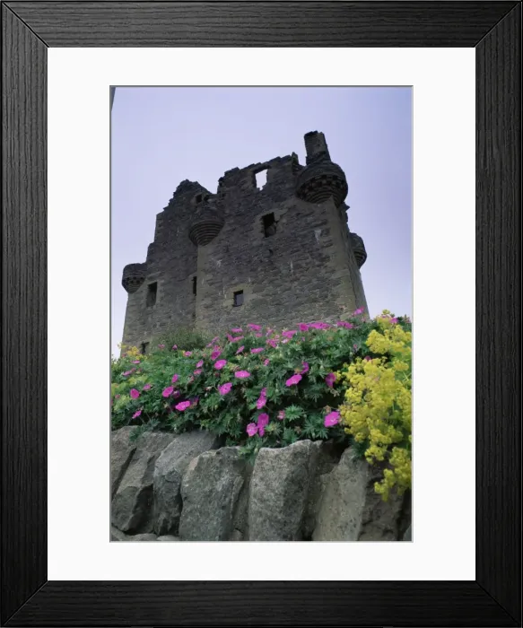 Framed Print : Scalloway castle Framed Print : Scalloway castle