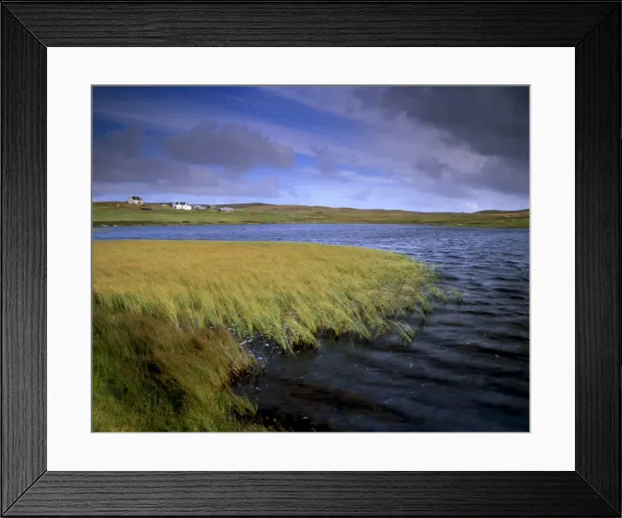 Framed Print : Small loch and houses near Greenland (Burraland) near Walls