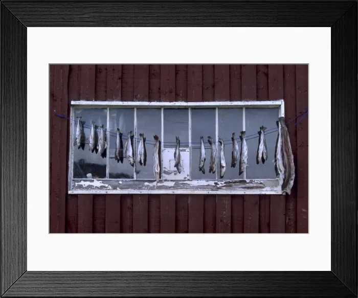 Framed Print : Fish drying Framed Print : Fish drying