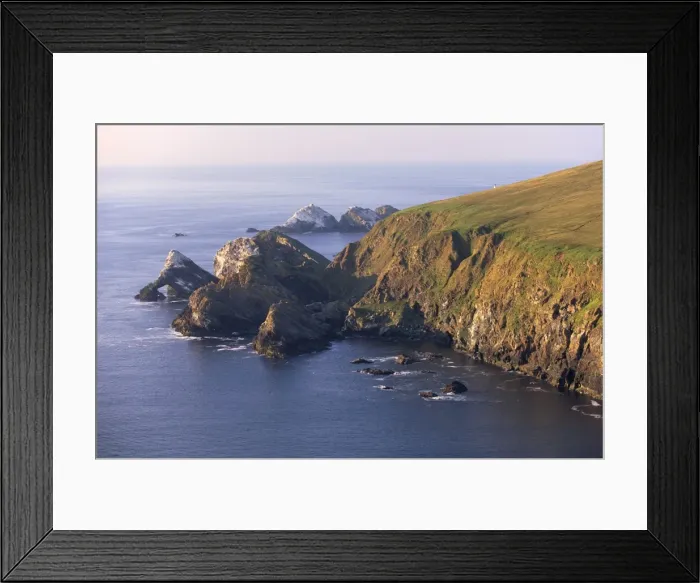 Framed Print : Cliffs of Hermaness Nature Reserve Framed Print : Cliffs of Hermaness Nature Reserve