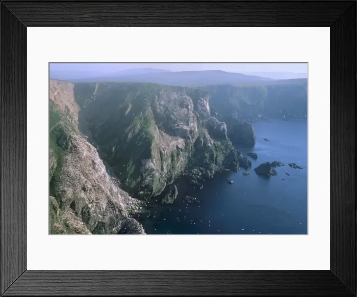 Framed Print : Cliffs of Hermaness National Nature Reserve Framed Print : Cliffs of Hermaness National Nature Reserve