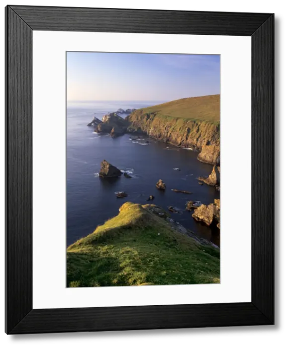 Framed Print : Cliffs of Hermaness Nature Reserve Framed Print : Cliffs of Hermaness Nature Reserve