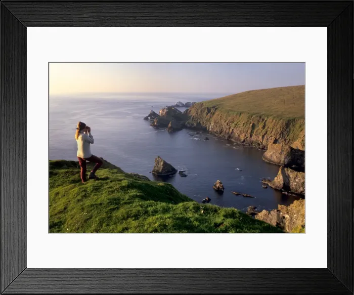 Framed Print : Birdwatching on cliffs of Hermaness Nature Reserve Framed Print : Birdwatching on cliffs of Hermaness Nature Reserve