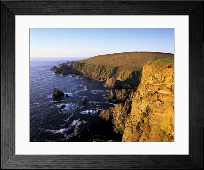 Framed Print : Cliffs of Hermaness Nature Reserve Framed Print : Cliffs of Hermaness Nature Reserve