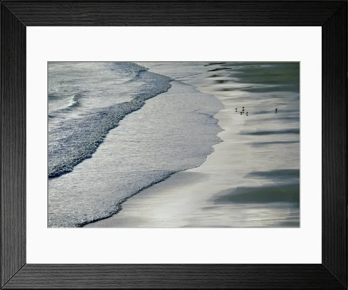 Framed Print : Gulls on beach Framed Print : Gulls on beach