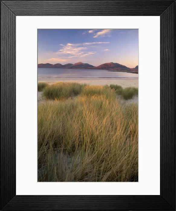 Framed Print : Marram grass and beach near Luskentyre Framed Print : Marram grass and beach near Luskentyre