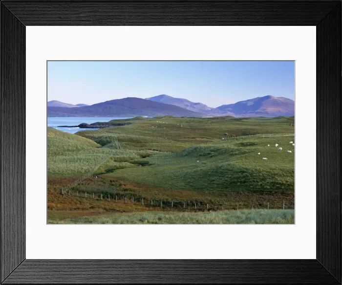 Framed Print : Dunes and machair Framed Print : Dunes and machair