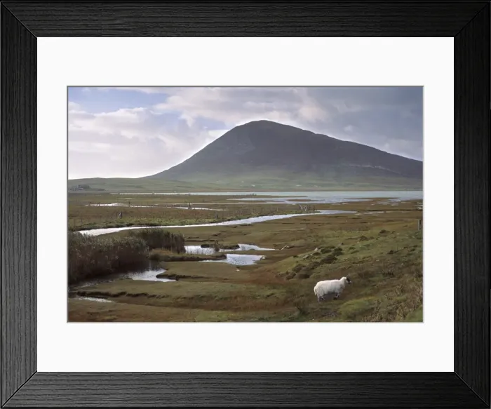Framed Print : Chaipaval Hill and sheep Framed Print : Chaipaval Hill and sheep