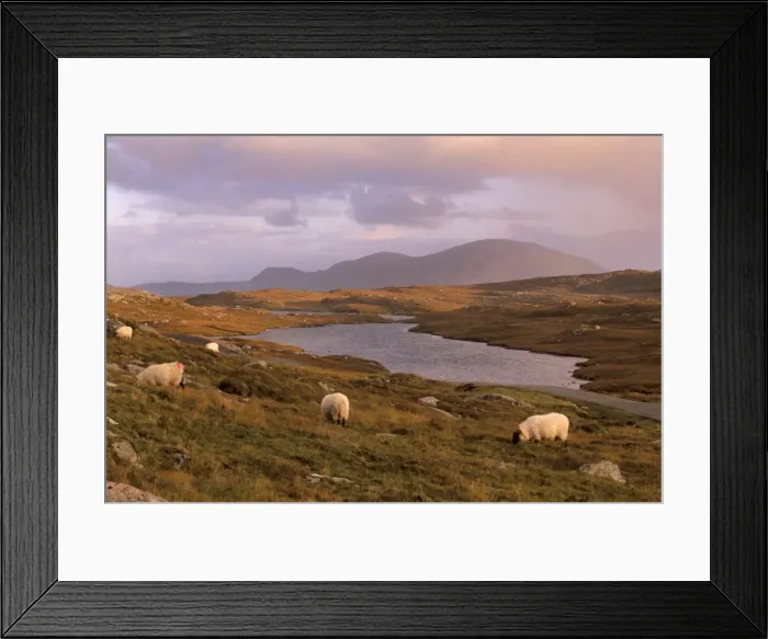 Framed Print : North Harris Hills near Govig (Gobhaigh) Framed Print : North Harris Hills near Govig (Gobhaigh)