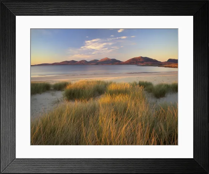 Framed Print : Marram grass and beach near Luskentyre Framed Print : Marram grass and beach near Luskentyre