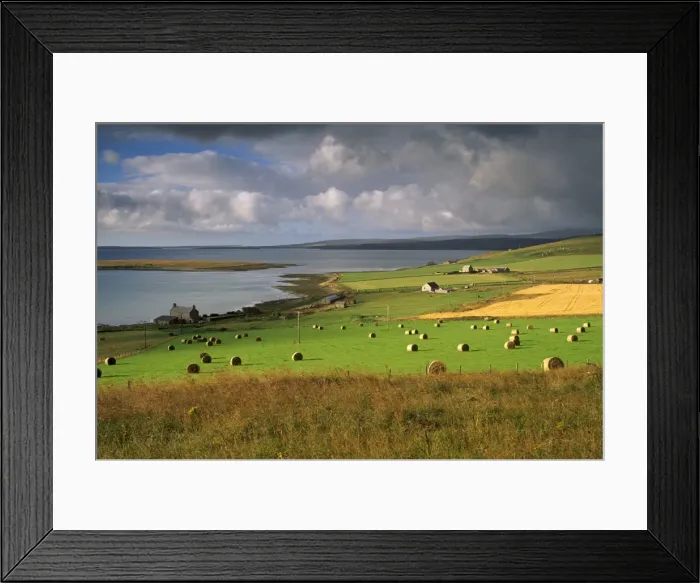 Framed Print : Farmland at Houton Framed Print : Farmland at Houton