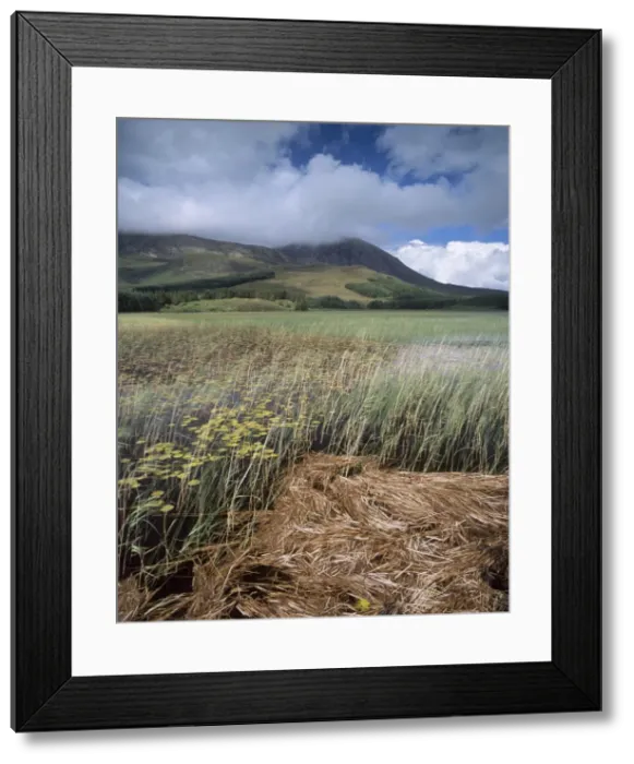 Framed Print : Red Cuillins range Framed Print : Red Cuillins range