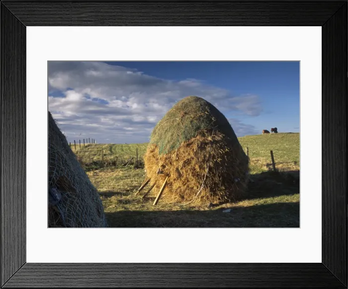 Framed Print : Traditional crofting land Framed Print : Traditional crofting land