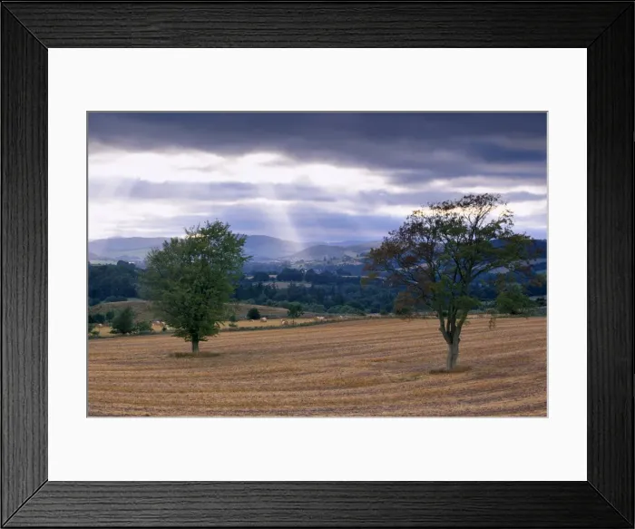 Framed Print : Trees and Tweed valley near Melrose Framed Print : Trees and Tweed valley near Melrose