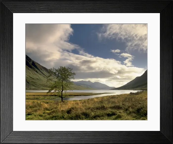 Framed Print : Loch Etive and lone tree Framed Print : Loch Etive and lone tree