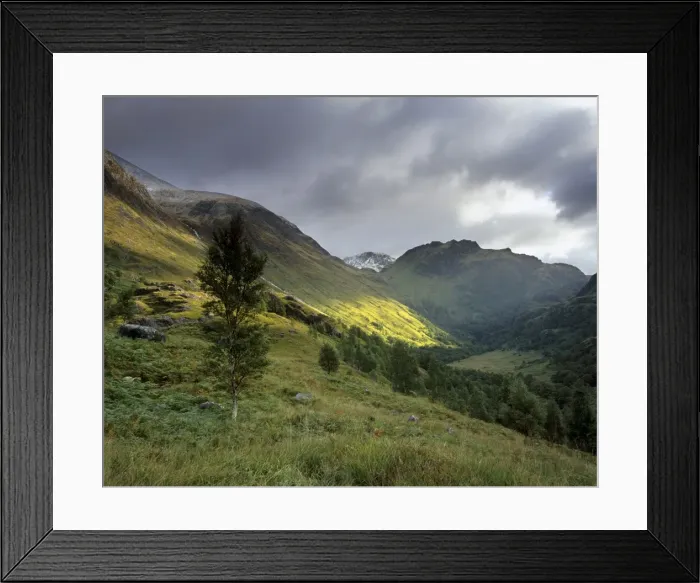 Framed Print : Slopes of Ben Nevis and Glen Nevis Framed Print : Slopes of Ben Nevis and Glen Nevis