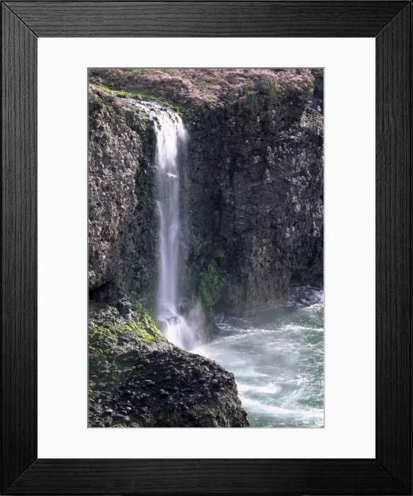 Framed Print : Sheer cliffs 75m high of old red sandstone conglomerate Framed Print : Sheer cliffs 75m high of old red sandstone conglomerate