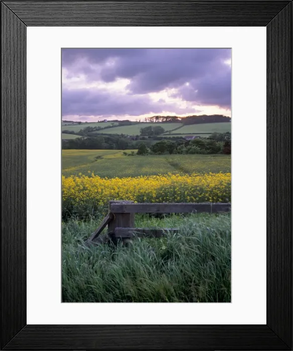 Framed Print : Stonehaven Framed Print : Stonehaven
