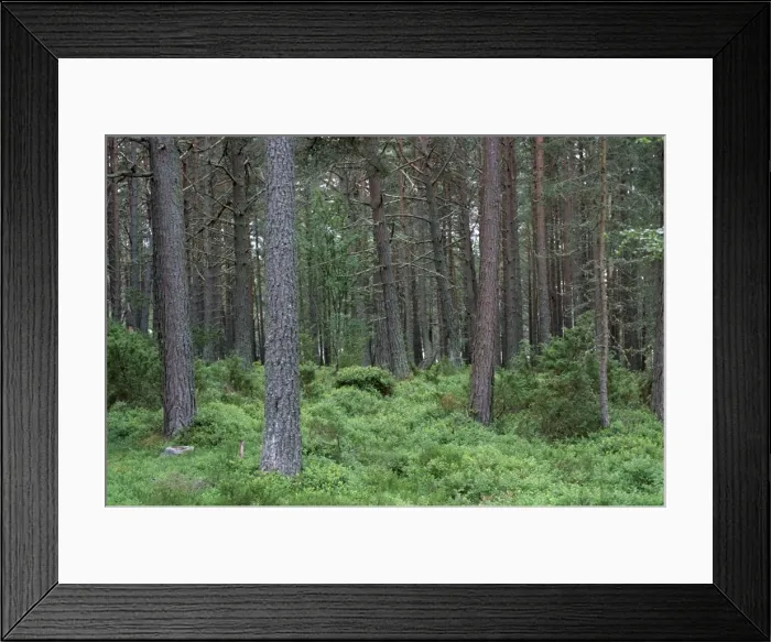 Framed Print : Loch Meadie Framed Print : Loch Meadie