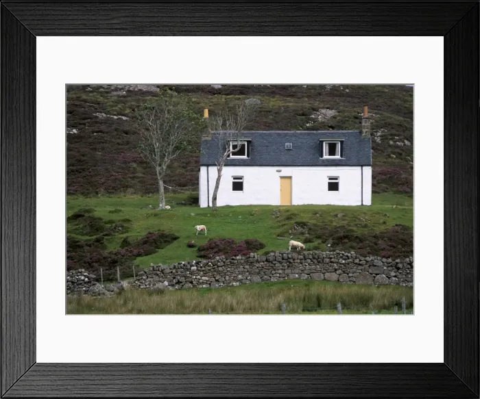 Framed Print : Small house and sheep Framed Print : Small house and sheep
