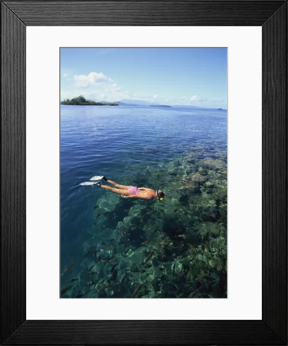 Framed Print : Tourist snorkelling in Marovo Lagoon Framed Print : Tourist snorkelling in Marovo Lagoon