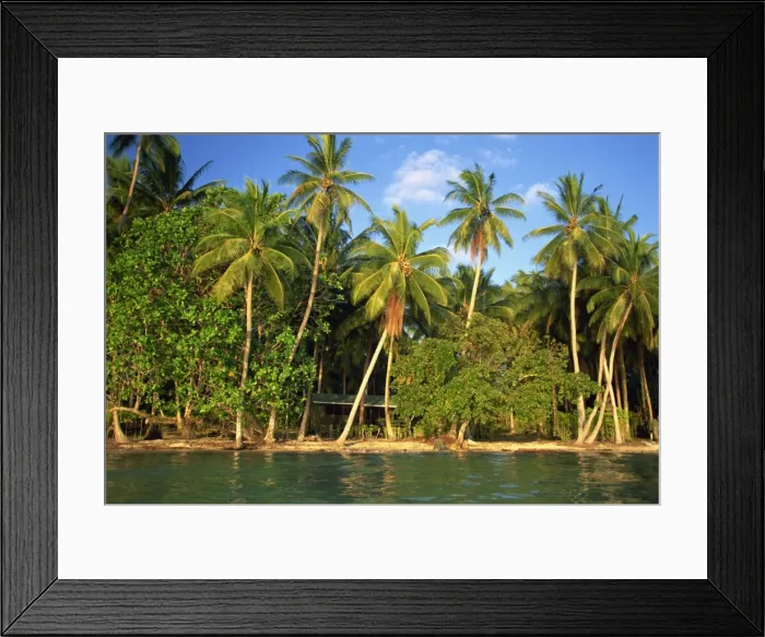Framed Print : The beach, palm trees and cottages of Uepi Island resort Framed Print : The beach, palm trees and cottages of Uepi Island resort