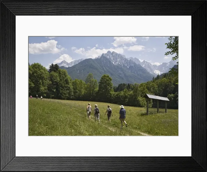 Framed Print : Walkers on path through flower meadow with typical hay rack in summer Framed Print : Walkers on path through flower meadow with typical hay rack in summer