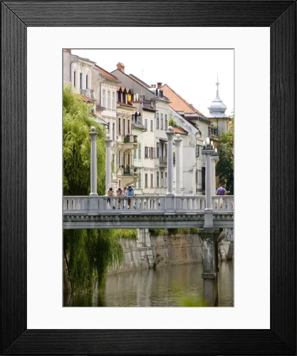 Framed Print : The Cobblers Bridge over the River Ljubljanica Framed Print : The Cobblers Bridge over the River Ljubljanica