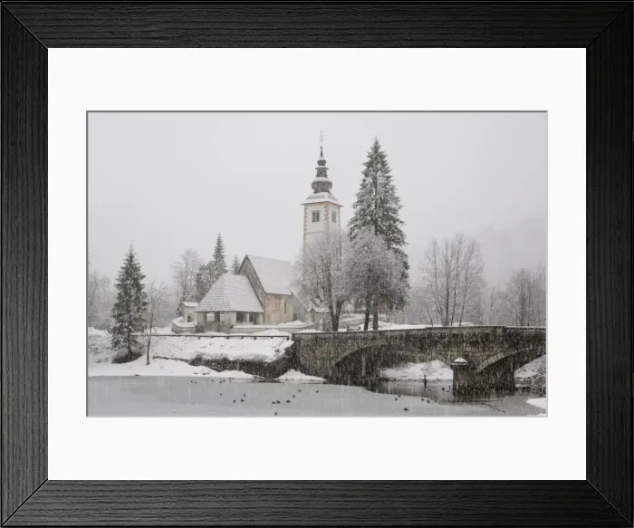 Framed Print : Ducks on frozen lake Framed Print : Ducks on frozen lake