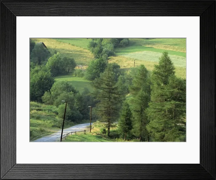 Framed Print : Lane near the Polish border Framed Print : Lane near the Polish border