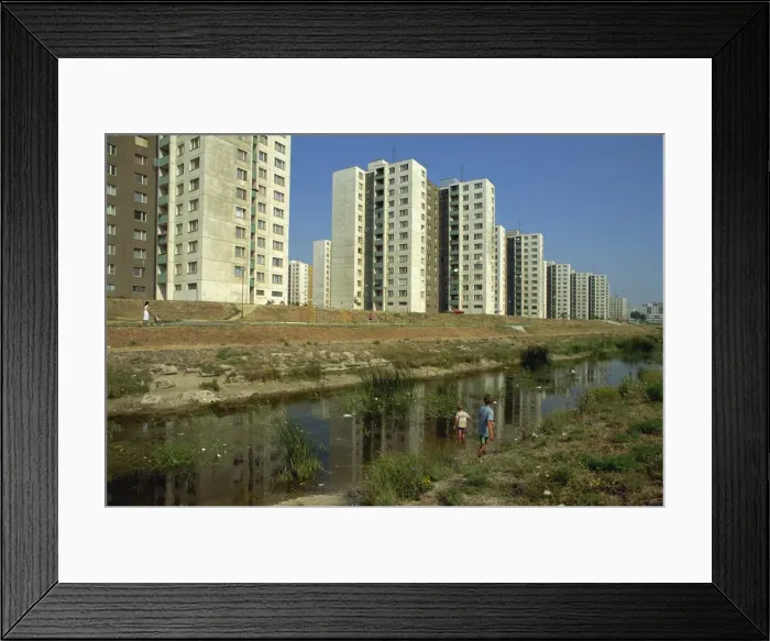 Framed Print : Boys fishing on the Petrzalka estate in the city of Bratislava Framed Print : Boys fishing on the Petrzalka estate in the city of Bratislava