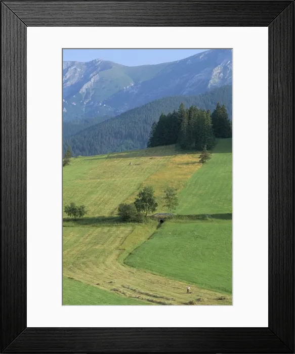 Framed Print : Farmland in the High Tatra Mountains near Zdiar and Polish border Framed Print : Farmland in the High Tatra Mountains near Zdiar and Polish border