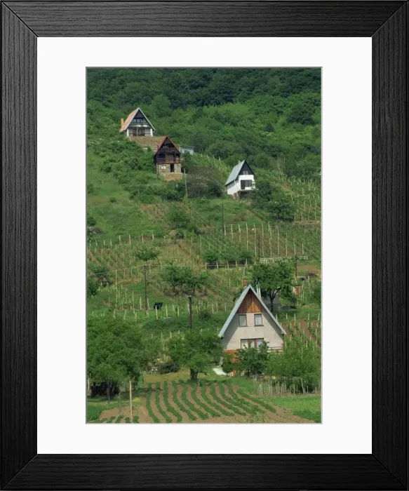 Framed Print : Holiday chalets and vegetable plots in the Slovak Sea Framed Print : Holiday chalets and vegetable plots in the Slovak Sea