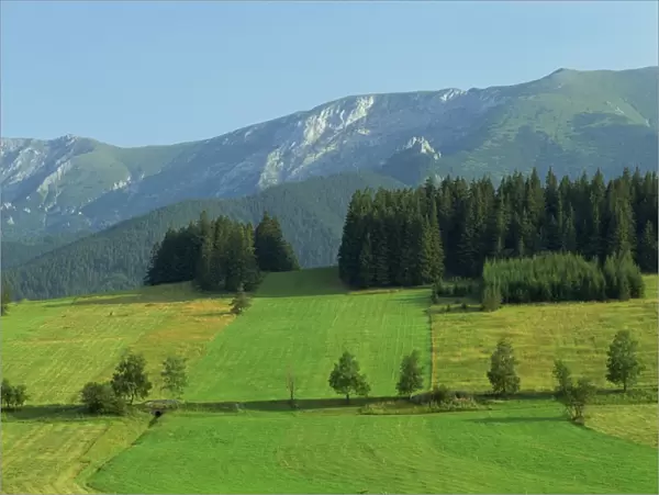 Farmland, High Tatras