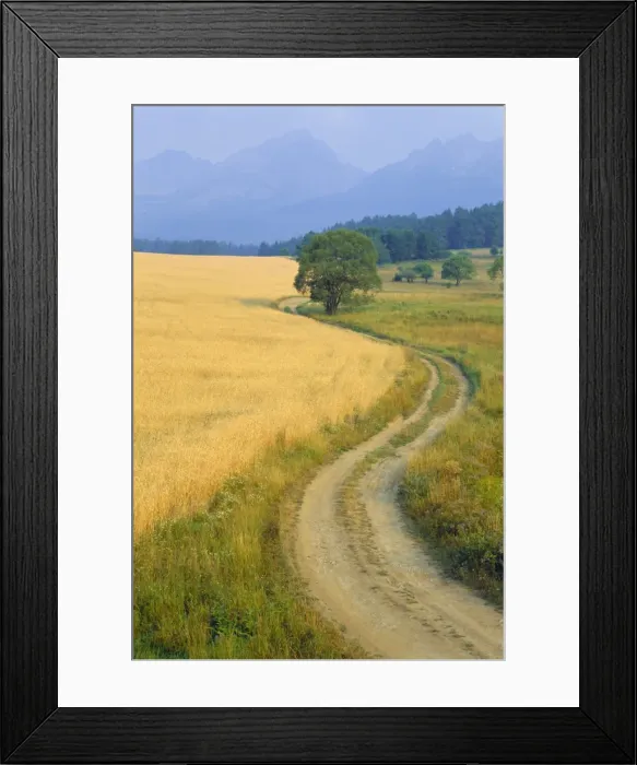 Framed Print : Winding track Framed Print : Winding track