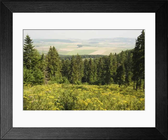 Framed Print : Hiking area Framed Print : Hiking area