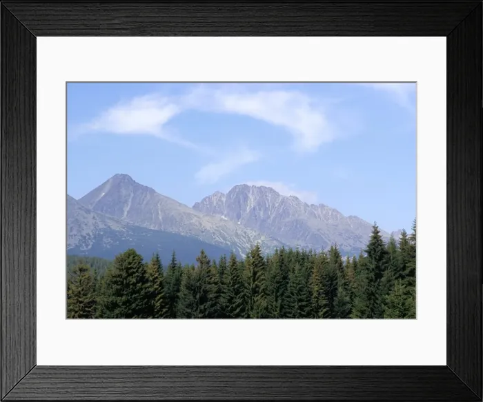 Framed Print : Mountain pines Framed Print : Mountain pines