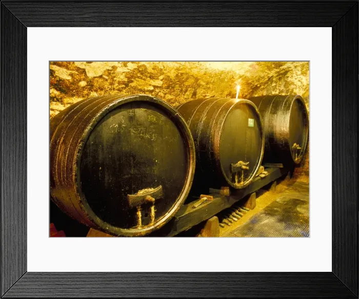 Framed Print : Wooden kegs for ageing wine in cellar of Pavel Soldan Framed Print : Wooden kegs for ageing wine in cellar of Pavel Soldan