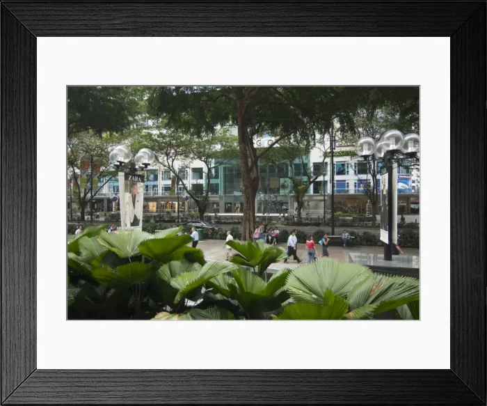Framed Print : Orchard Road Framed Print : Orchard Road