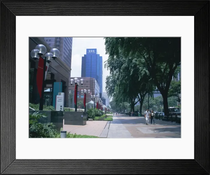 Framed Print : Tree lined avenue of shops and malls Framed Print : Tree lined avenue of shops and malls