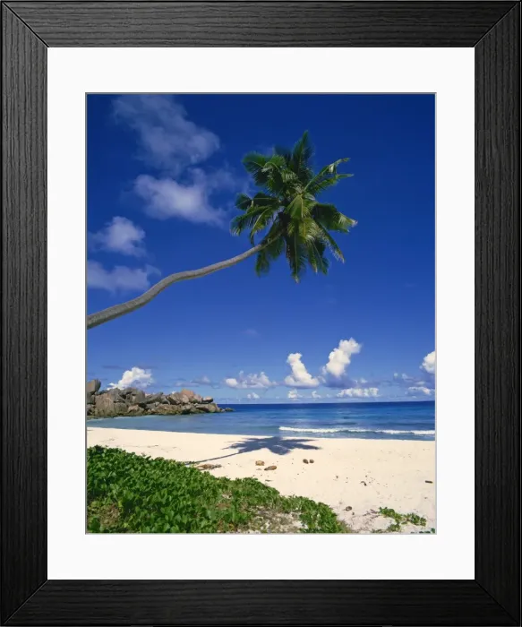 Framed Print : Tropical coastline with eroded rock formation and palm trees Framed Print : Tropical coastline with eroded rock formation and palm trees