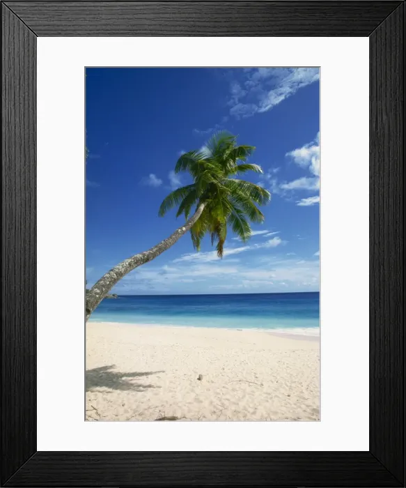 Framed Print : Beach, Mahe Framed Print : Beach, Mahe