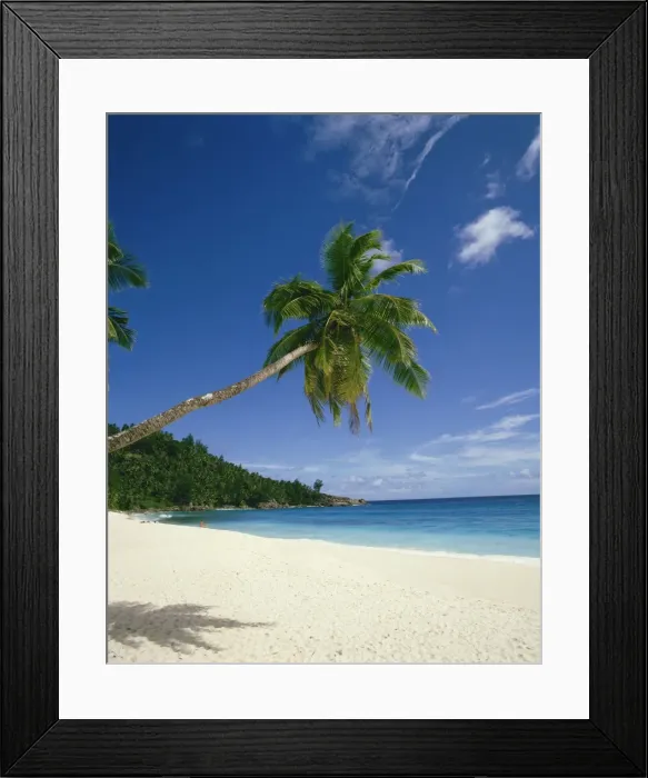 Framed Print : Anse Intedance Framed Print : Anse Intedance