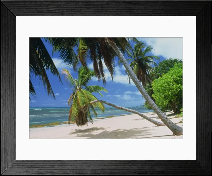 Framed Print : Praslin beach