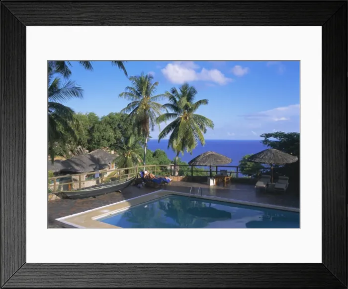 Framed Print : Chateau de Feuilles Framed Print : Chateau de Feuilles